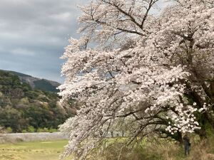 IMG_3882 - コピー2