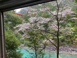 IMG_3940 - コピー2