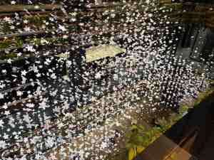 ヤンマーオブジェ